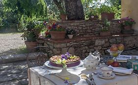 Villa Il Paradisino
